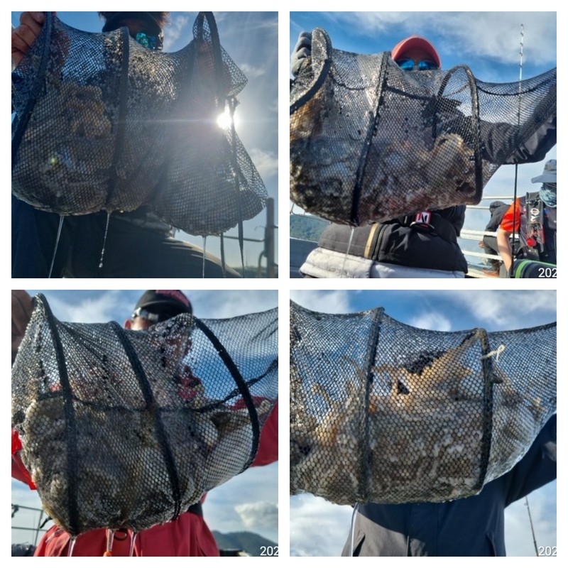 여수 히트호 의 조황일지 이미지 - 1