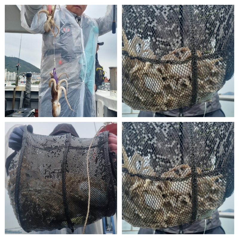 여수 히트호 의 조황일지 이미지 - 1