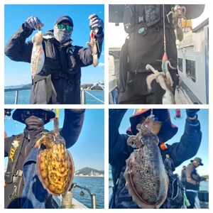 11월 3일 여수히트호 대왕쭈꾸미, 대포알 갑오징어 조황 (평일선비할인) 선상낚시로 잡은 물고기 조황