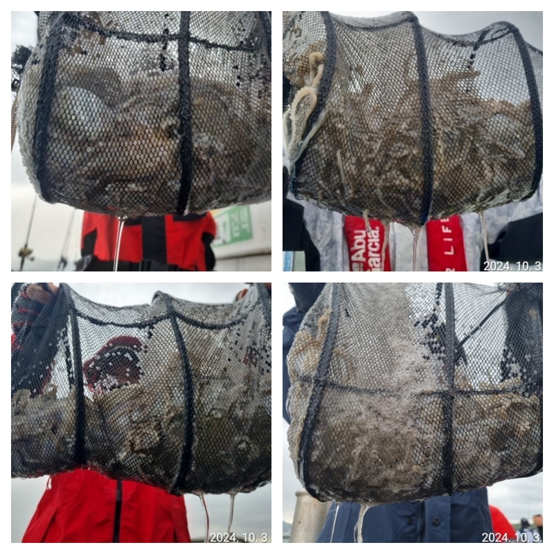 여수 히트호 의 조황일지 이미지 - 0