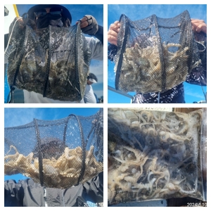 여수 히트호 2일 쭈꾸미 조황 선상낚시로 잡은 물고기 조황