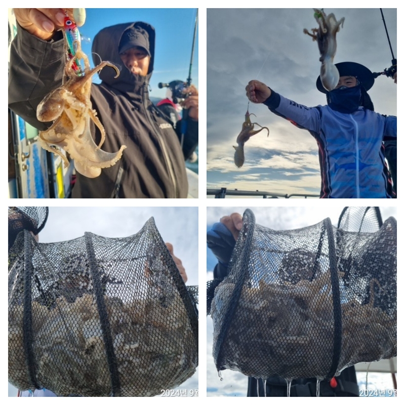 여수 히트호 의 조황일지 이미지 - 1