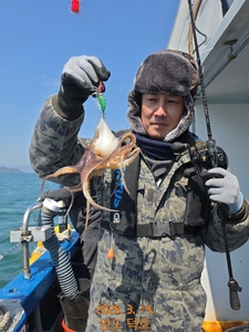 완도덕호 3.14 쭈꾸미  선상낚시로 잡은 물고기 조황