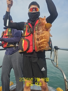 완도덕호 7.18 생새우 외수질 선상낚시로 잡은 물고기 조황