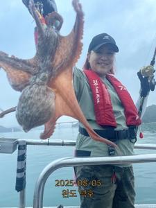 완도덕호 8.5 문어  선상낚시로 잡은 물고기 조황
