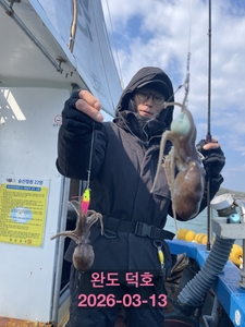 완도덕호 3.13 쭈꾸미  선상낚시로 잡은 물고기 조황