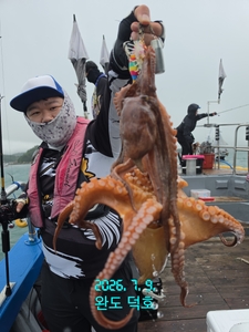 완도덕호 7.9 문어 선상낚시로 잡은 물고기 조황