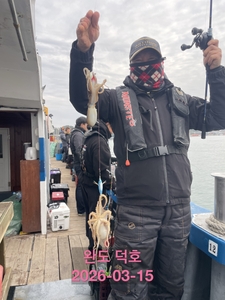 완도덕호 3.15 쭈꾸미  선상낚시로 잡은 물고기 조황