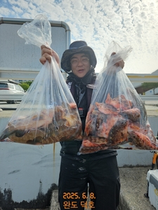 완도덕호 6.8 다잡아타이라바  선상낚시로 잡은 물고기 조황