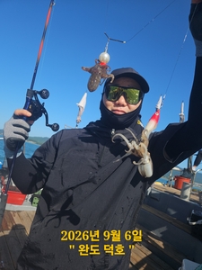 완도덕호 9.6 쭈꾸미  선상낚시로 잡은 물고기 조황