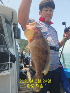 완도덕호 5.24 생새우 외수질  선상낚시로 잡은 물고기 조황