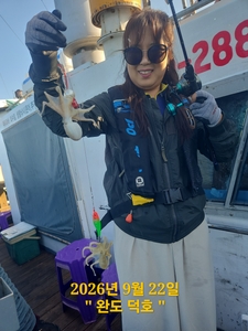 완도덕호 9.22 쭈꾸미  선상낚시로 잡은 물고기 조황