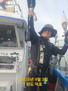 완도덕호 9.3 쭈꾸미  선상낚시로 잡은 물고기 조황