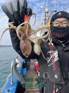 완도덕호 12.29 쭈꾸미  선상낚시로 잡은 물고기 조황