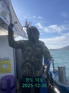 완도덕호 12.30 쭈꾸미  선상낚시로 잡은 물고기 조황