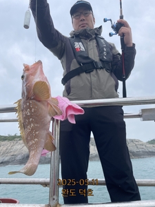 완도덕호 5.11 외수질  선상낚시로 잡은 물고기 조황