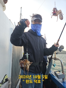 완도덕호 10.5 쭈꾸미  선상낚시로 잡은 물고기 조황