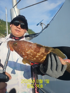 완도덕호 8.1 생새우 외수질  선상낚시로 잡은 물고기 조황