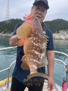 완도덕호 6.6 다잡아타이라바  선상낚시로 잡은 물고기 조황