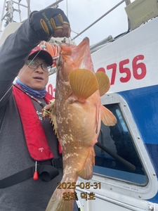 완도덕호 8.31 외수질  선상낚시로 잡은 물고기 조황