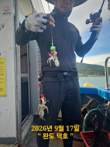 완도덕호 9.17 쭈꾸미  선상낚시로 잡은 물고기 조황