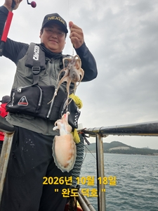완도덕호 10.18 쭈꾸미  선상낚시로 잡은 물고기 조황
