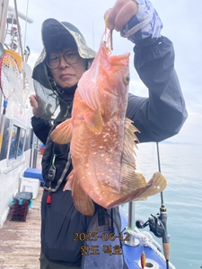 완도덕호 6.12 다잡아타이라바  선상낚시로 잡은 물고기 조황