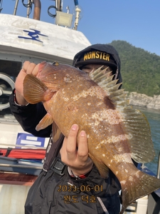 완도덕호 6.1 외수질  선상낚시로 잡은 물고기 조황