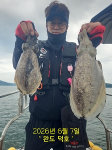 완도덕호 6.7 봄갑오징어 선상낚시로 잡은 물고기 조황