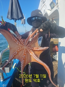완도덕호 7.11 문어  선상낚시로 잡은 물고기 조황