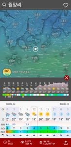 완도덕호 6.22 외수질 출조모집  선상낚시로 잡은 물고기 조황