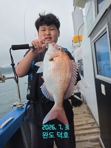 완도덕호 7.3 다잡아타이라바, 메탈게임  선상낚시로 잡은 물고기 조황