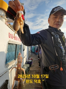 완도덕호 10.17 쭈꾸미  선상낚시로 잡은 물고기 조황