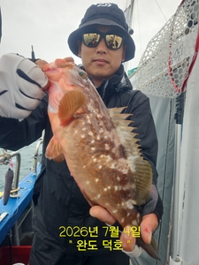 완도덕호 7.4 생새우 외수질  선상낚시로 잡은 물고기 조황