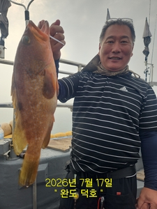 완도덕호 7.17 생새우 외수질 선상낚시로 잡은 물고기 조황