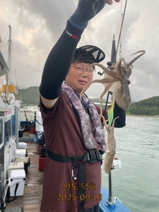 완도덕호 9.1 쭈꾸미  선상낚시로 잡은 물고기 조황