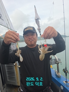 완도덕호 9.2 쭈꾸미  선상낚시로 잡은 물고기 조황