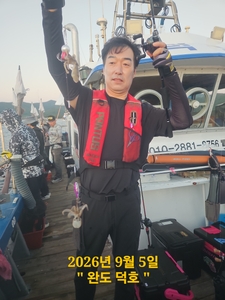 완도덕호 9.8 쭈꾸미  선상낚시로 잡은 물고기 조황