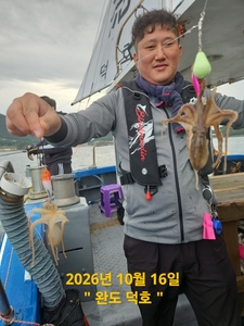 완도덕호 10.16 쭈꾸미  선상낚시로 잡은 물고기 조황