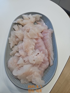 완도덕호 8.7 짬낚  선상낚시로 잡은 물고기 조황