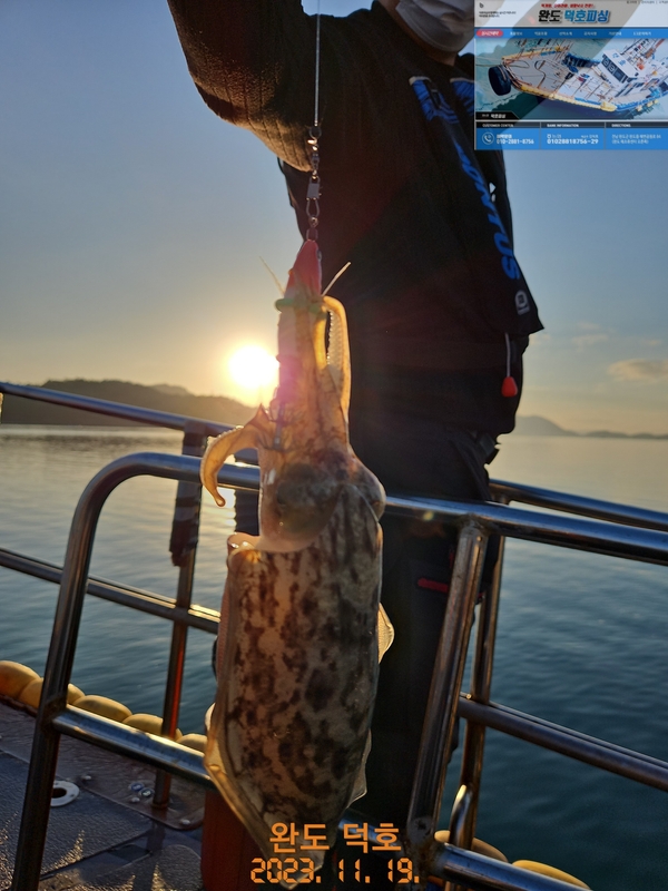 해당 선사를 대표하는 이미지