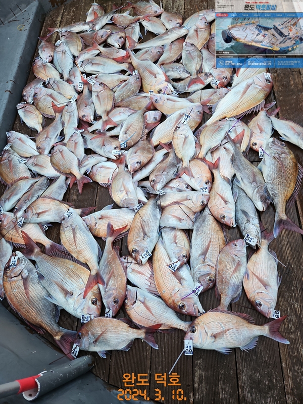 해당 선사를 대표하는 이미지