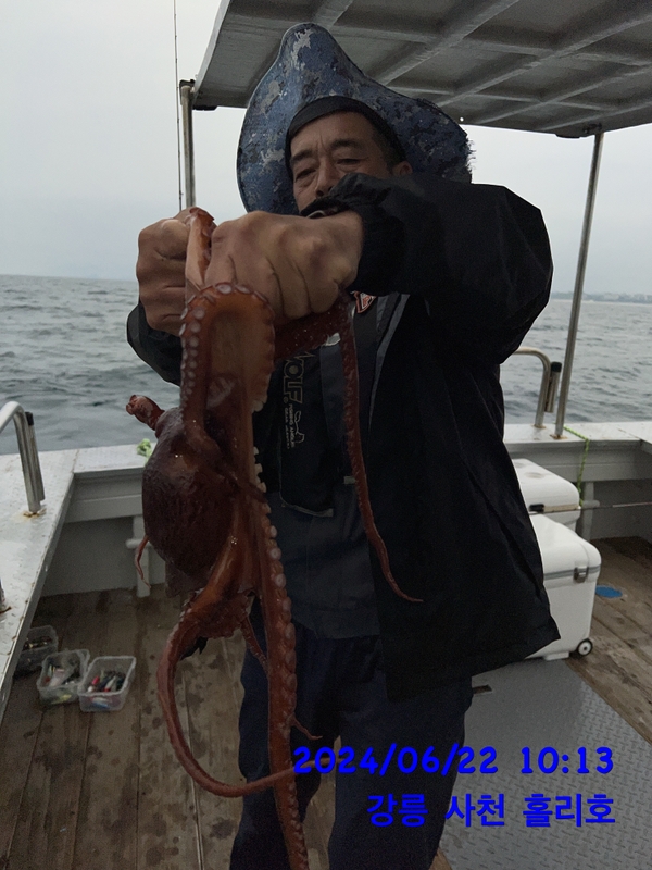 강릉 홀리호의 조황일지 이미지 - 4