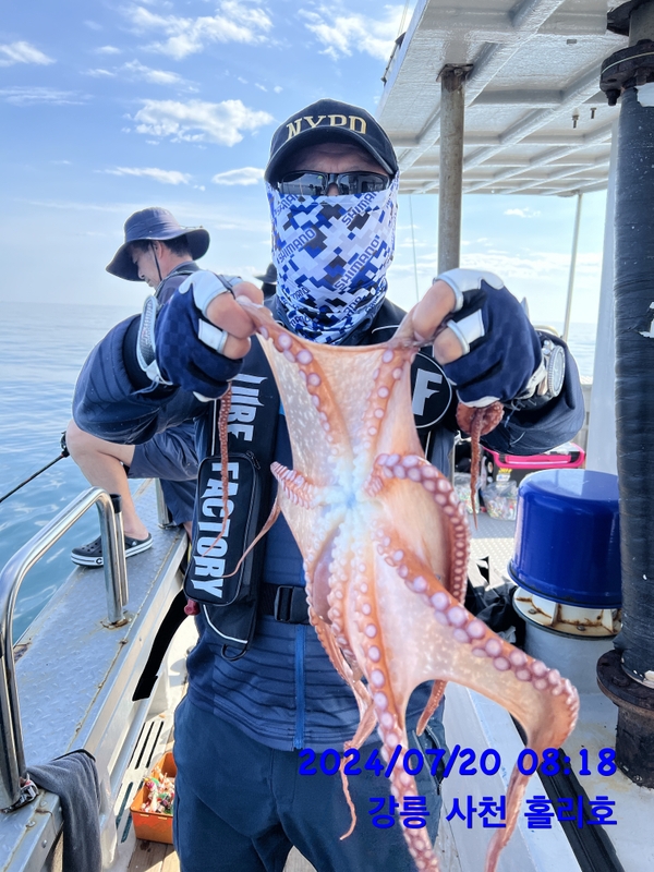 강릉 홀리호의 조황일지 이미지 - 4