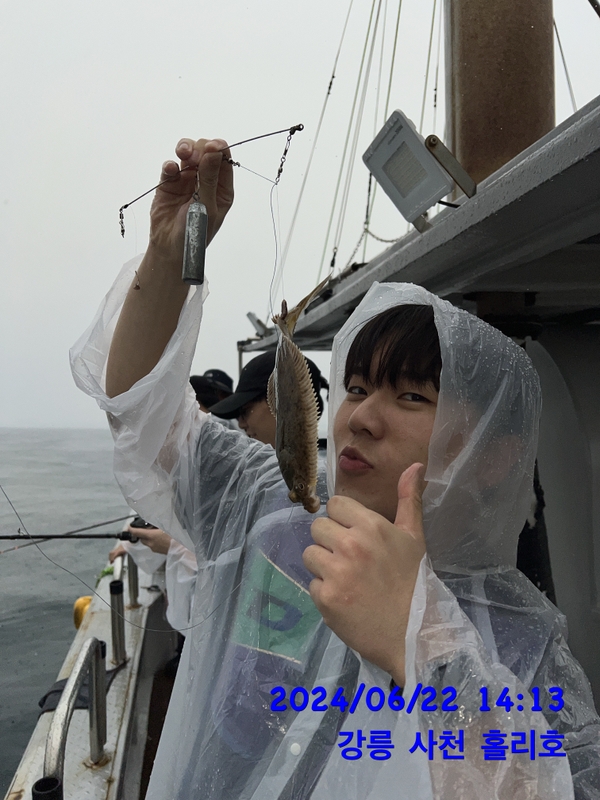 강릉 홀리호의 조황일지 이미지 - 0