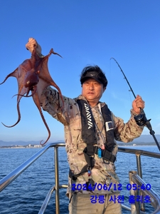 6월 12일 강릉 사천 홀리호 문어 조황입니다 선상낚시로 잡은 물고기 조황