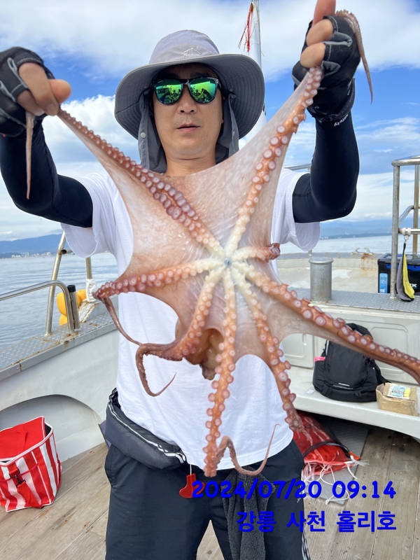 강릉 홀리호의 조황일지 이미지 - 6