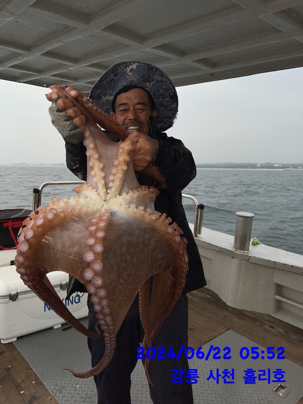 강릉 홀리호의 조황일지 이미지 - 2