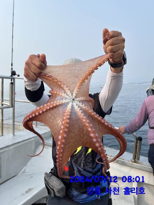 강릉 홀리호의 조황일지 이미지 - 8