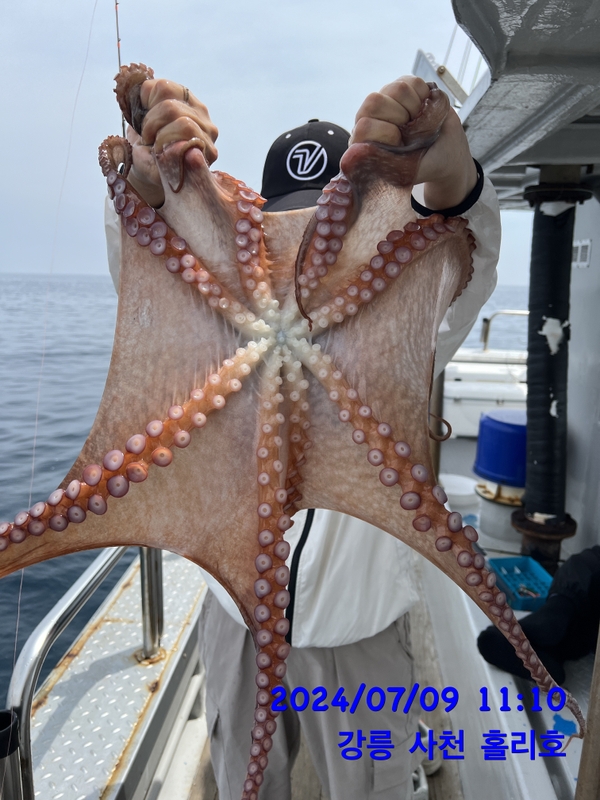 강릉 홀리호의 조황일지 이미지 - 12